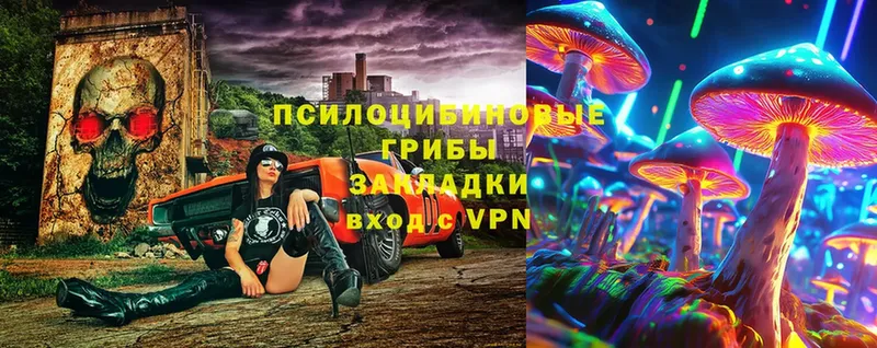 Псилоцибиновые грибы Magic Shrooms  kraken зеркало  Ряжск 